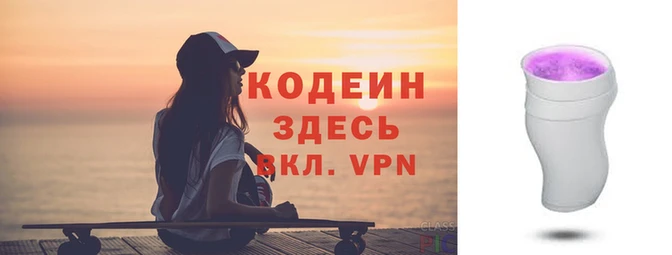 индика Пестово