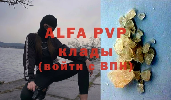 трава Пересвет