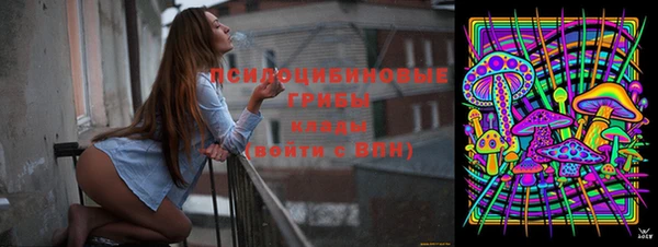 индика Пестово