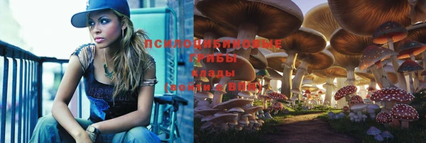 винт Абдулино