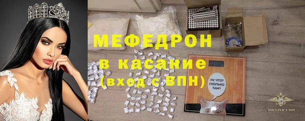 индика Пестово