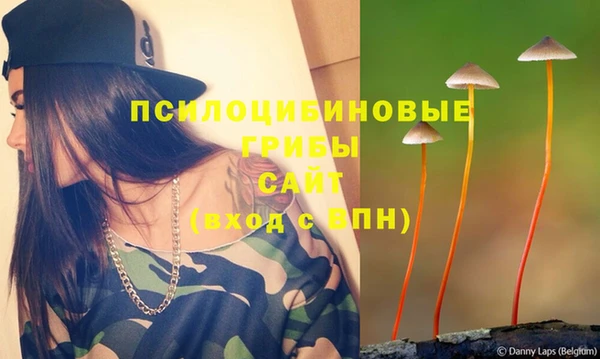 эйфоретик Абинск