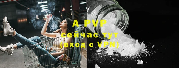 трава Пересвет