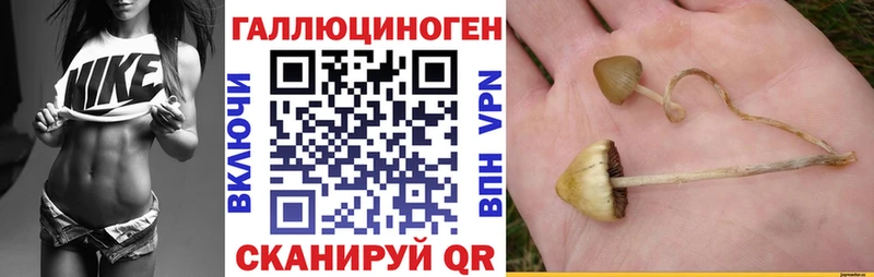 Галлюциногенные грибы Psilocybe Стрежевой