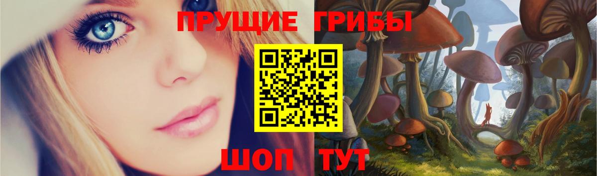 Псилоцибиновые грибы Magic Shrooms  Вход с VPN  Галлюциногенные грибы Magic Shrooms  Стрежевой 