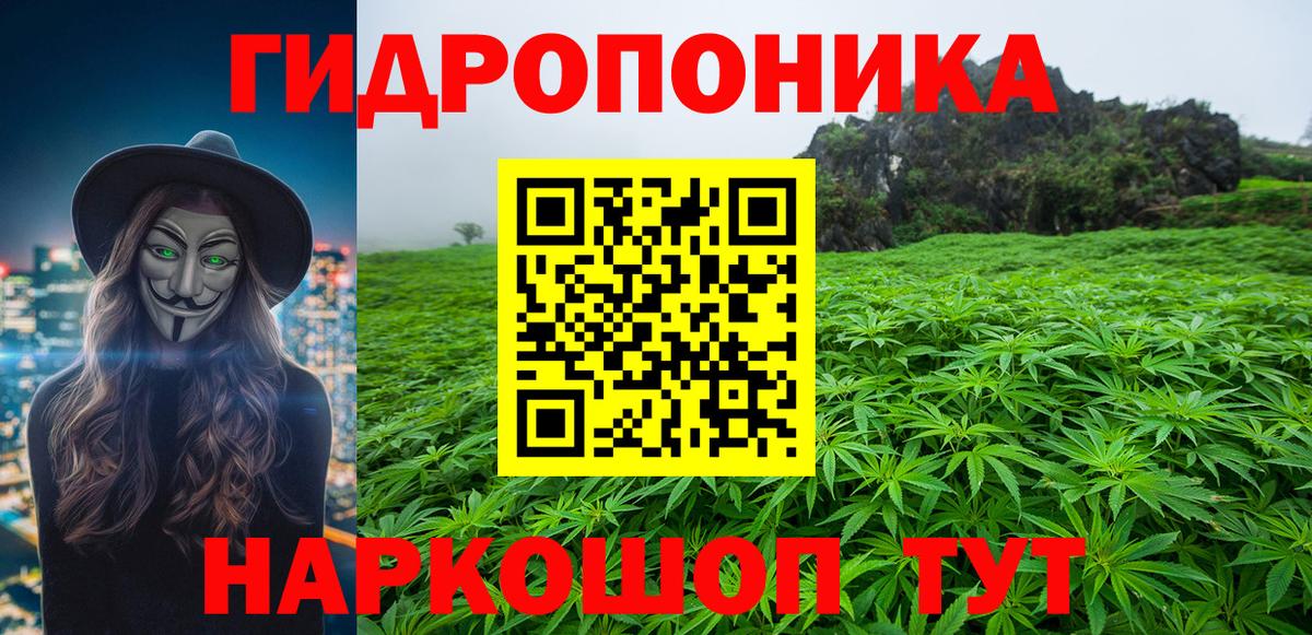 Бошки Шишки MAZAR Стрежевой